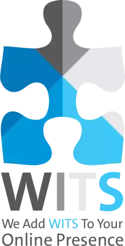 WITS Logo in medium size